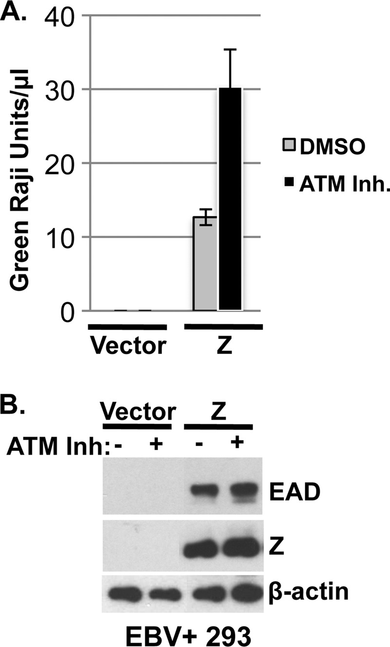 Fig 7