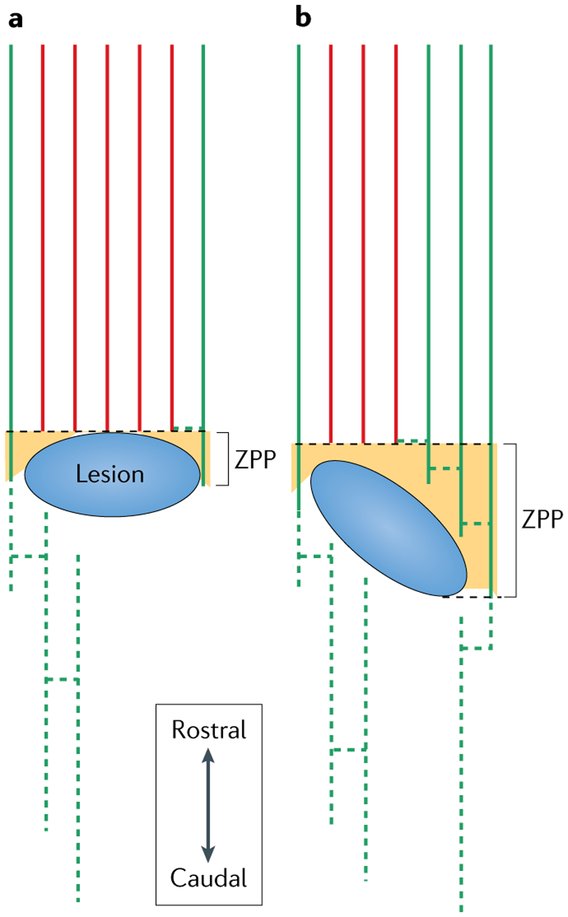 Fig. 4 |