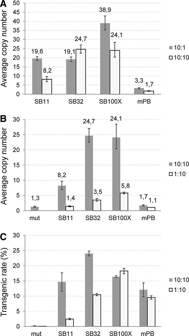 FIG. 6.