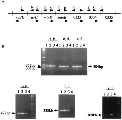 FIG. 4