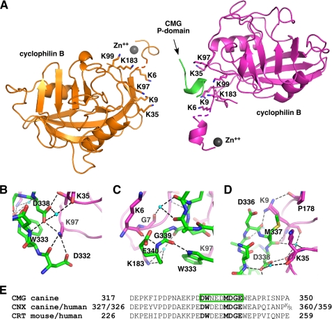 FIGURE 4.