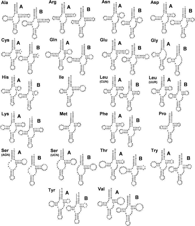 Figure 4.