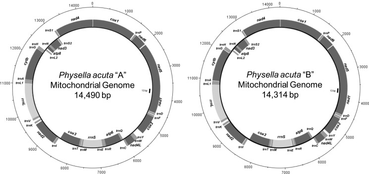 Figure 2.