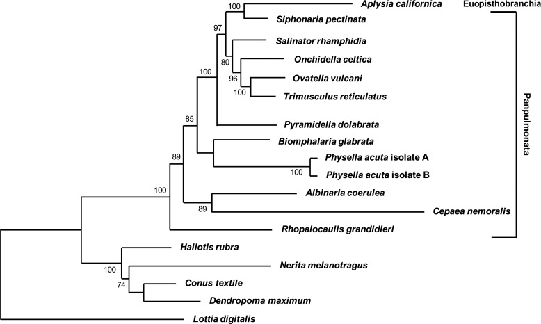 Figure 6.