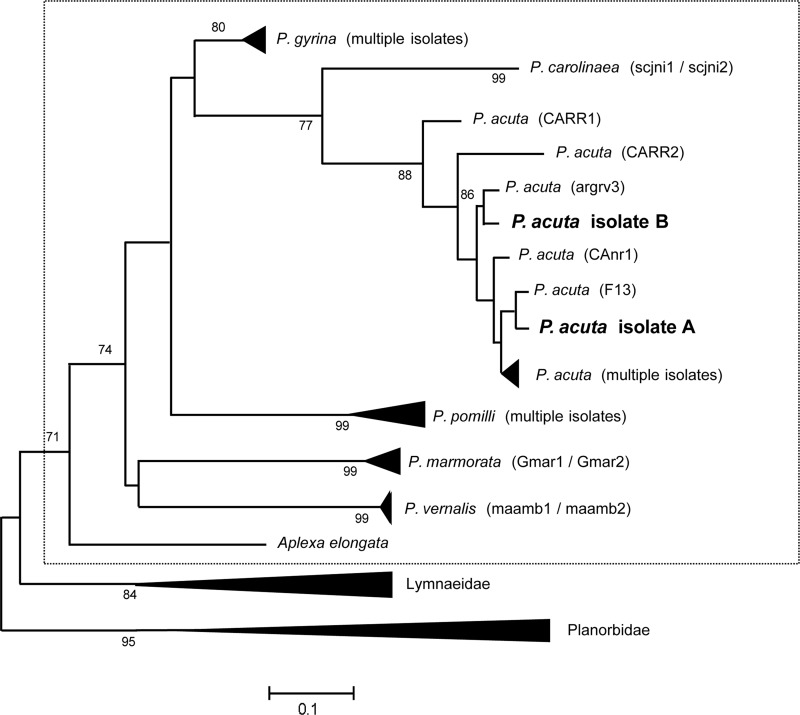 Figure 1.