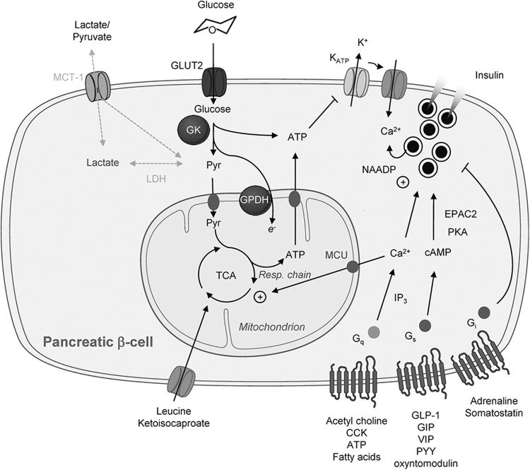 FIG. 3.