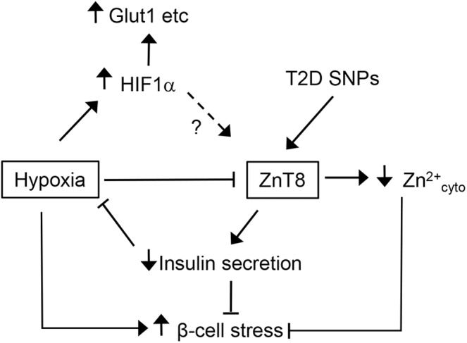 FIG. 9.