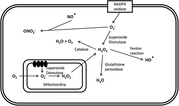 FIG. 2.