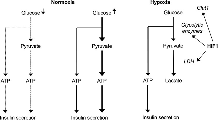 FIG. 7.