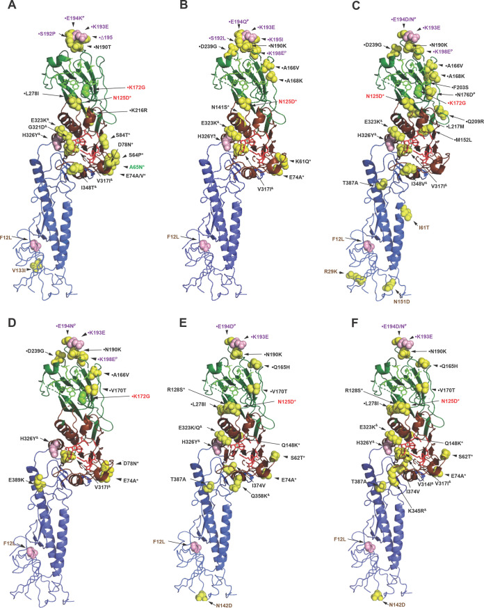 FIG 3