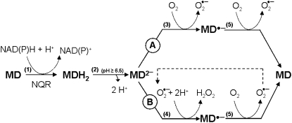 Figure 12.