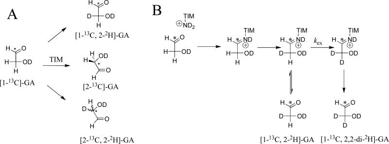 Scheme 4