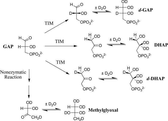 Scheme 3