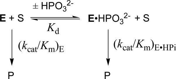 Scheme 5