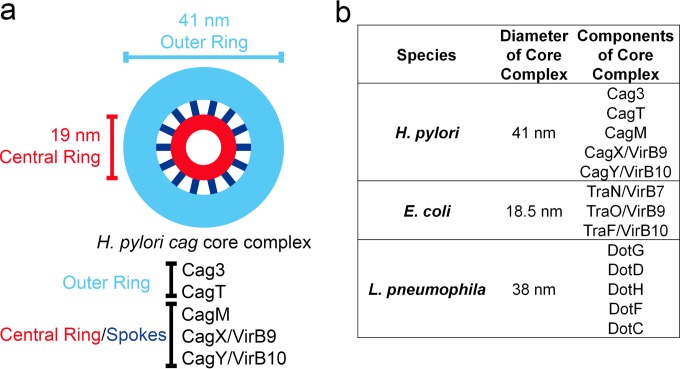 FIG 6 