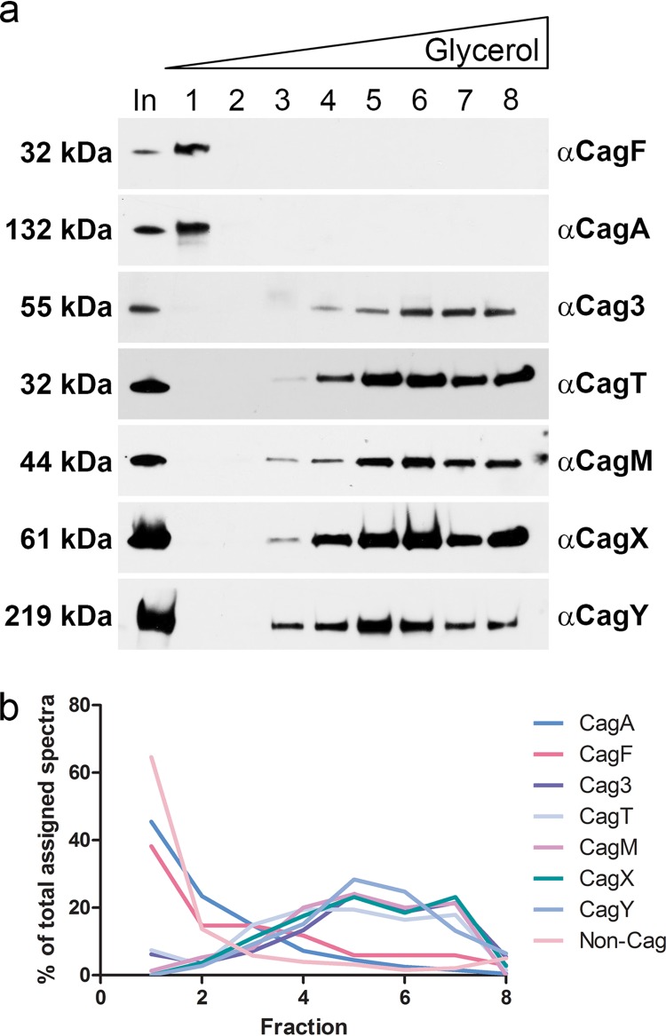 FIG 2 