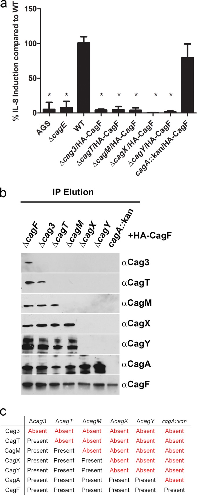 FIG 3 