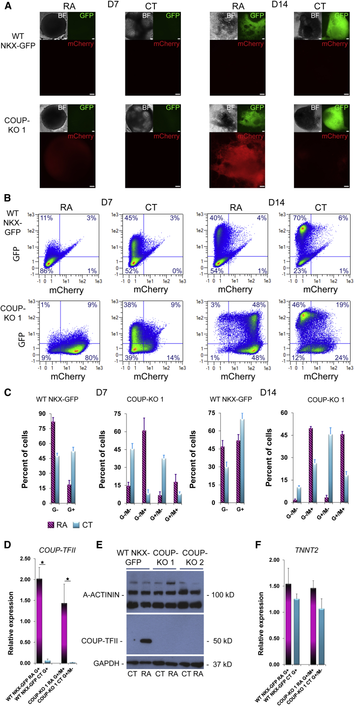 Figure 4