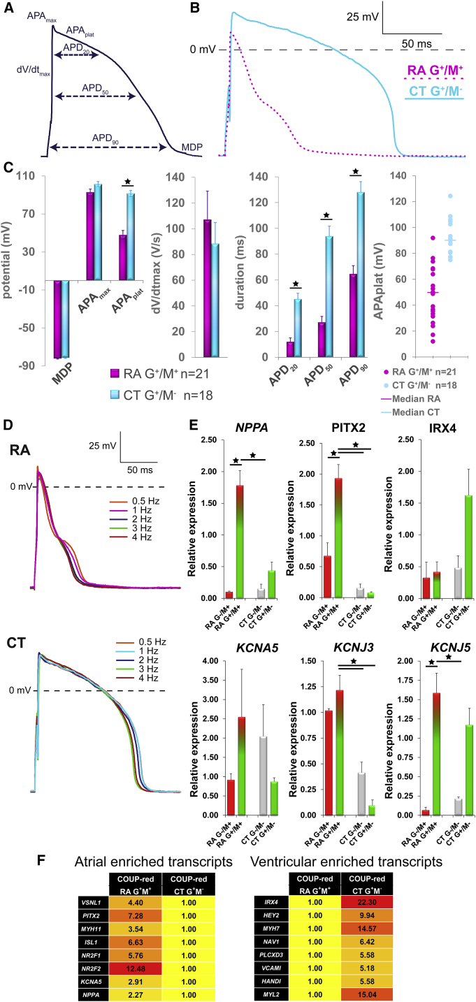 Figure 3