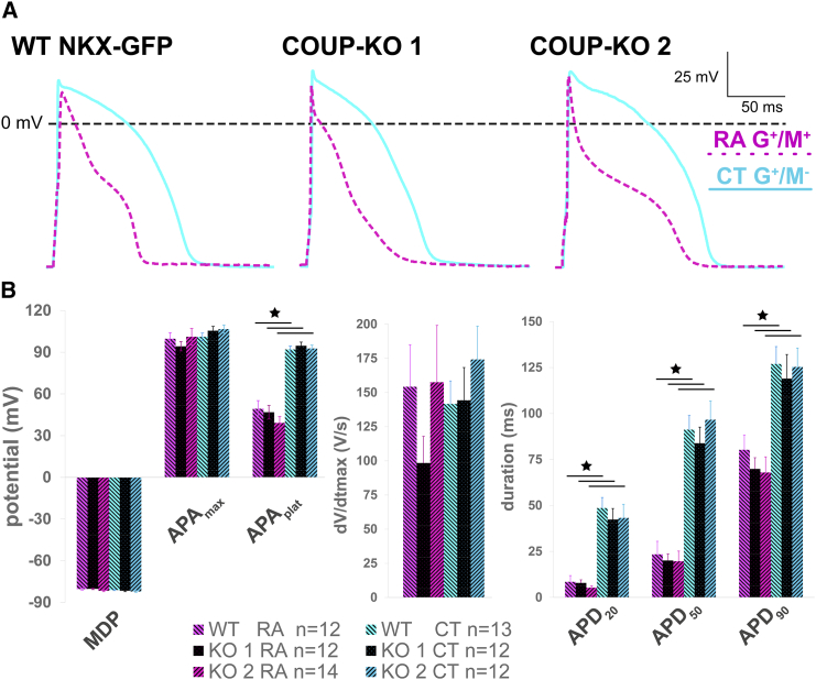 Figure 5