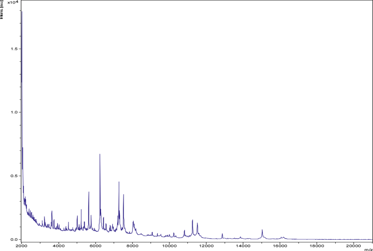 Fig. 1