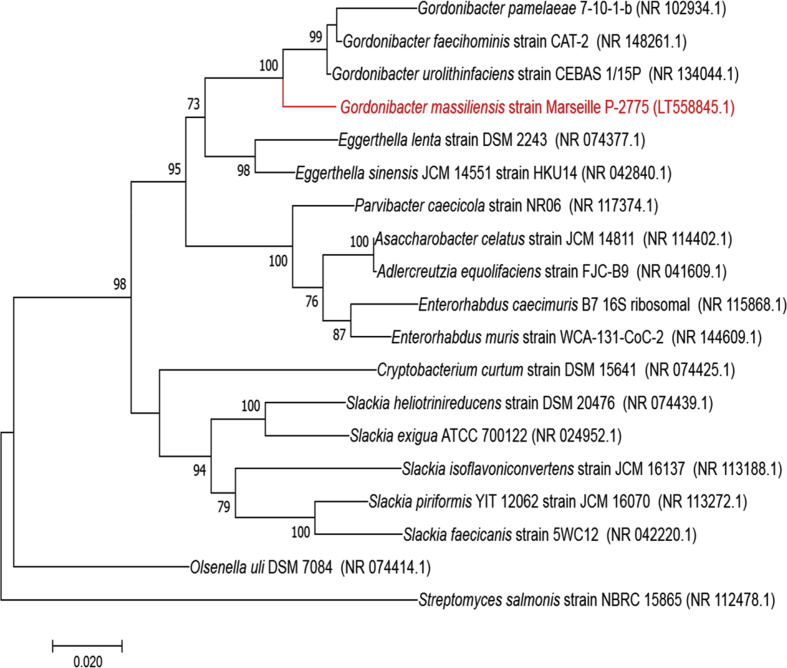 Fig. 2