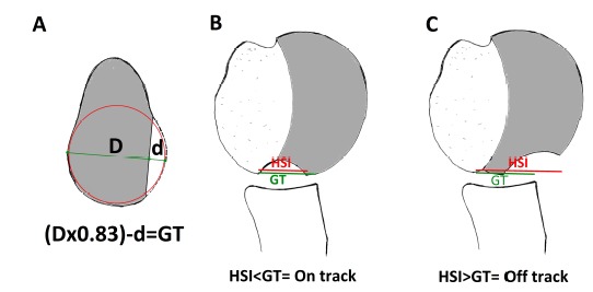 Fig. (8)