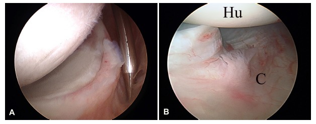 Fig. (5)