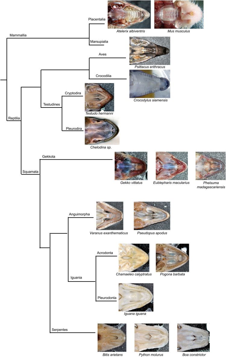 FIGURE 14