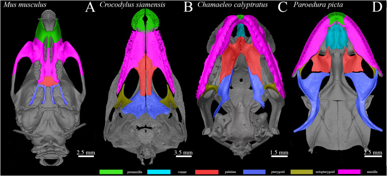 FIGURE 15