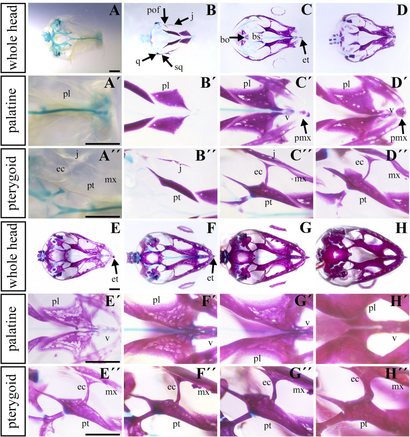 FIGURE 4