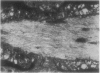 134