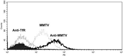 Fig 4.