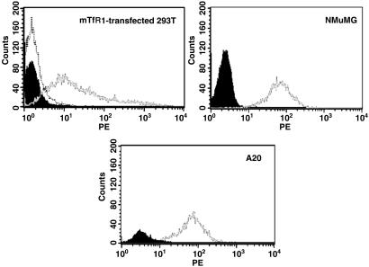 Fig 3.