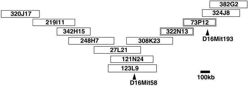 Fig 1.