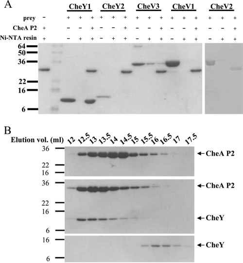 FIG. 7.