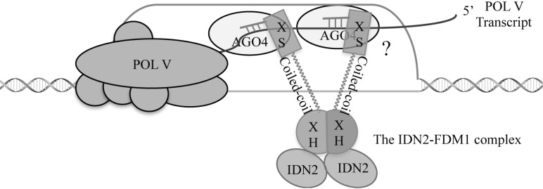 Fig. (2)