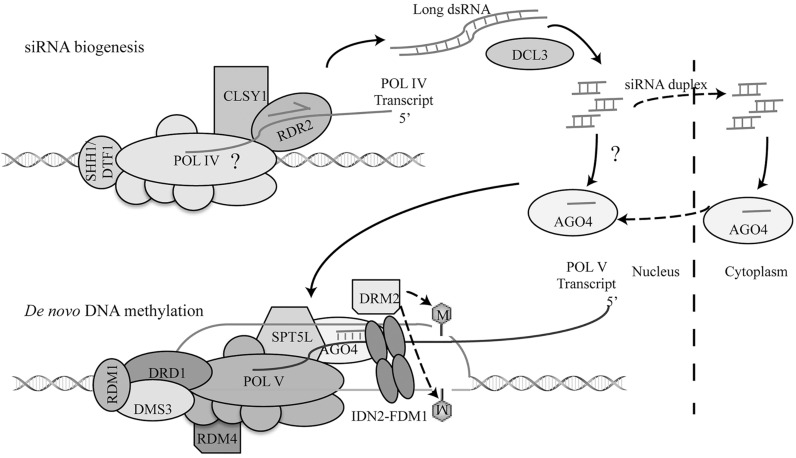 Fig. (1)