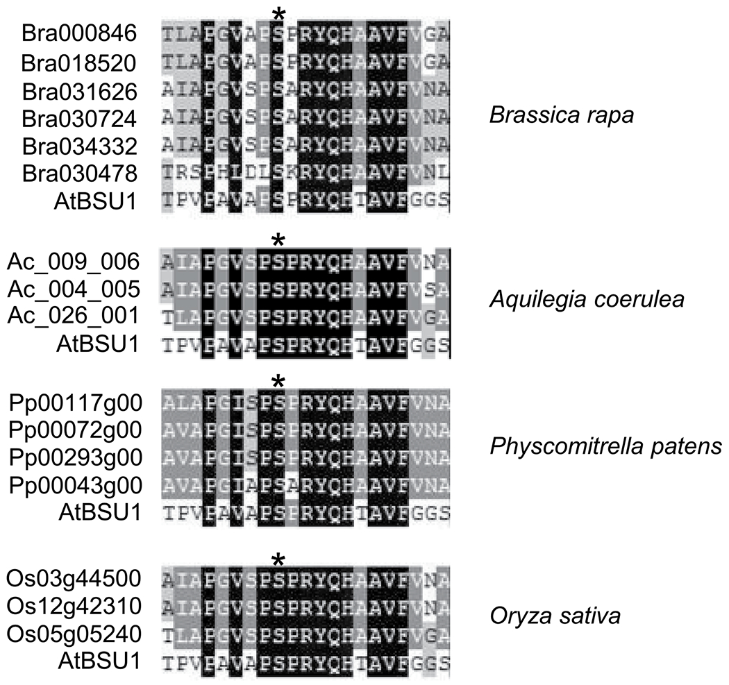 Extended Data Fig. 7 |