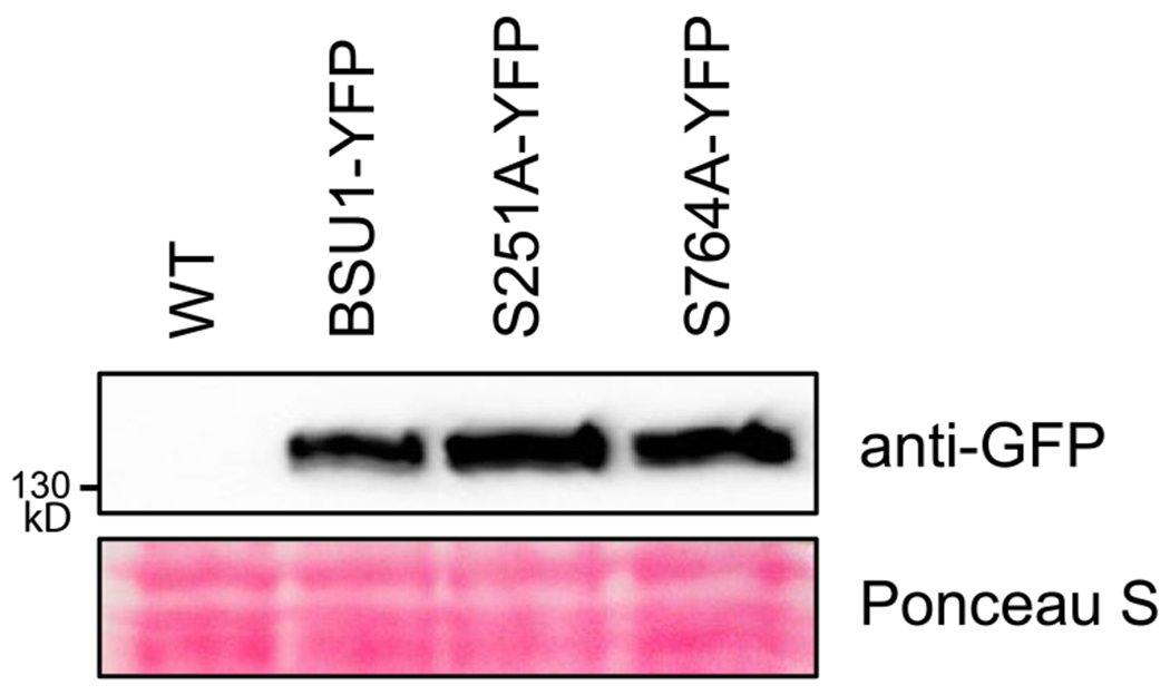 Extended Data Fig. 9 |