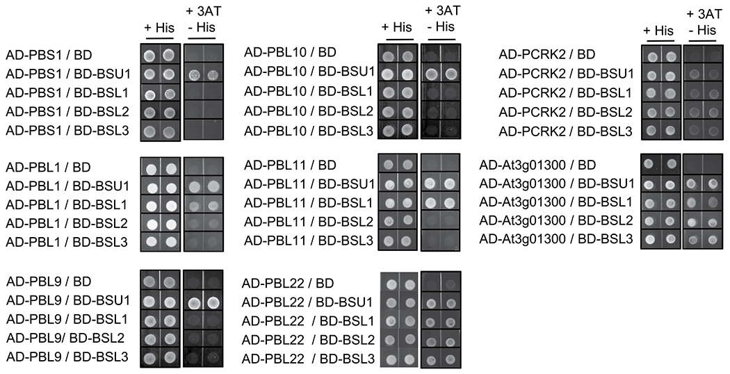 Extended Data Fig. 5 |