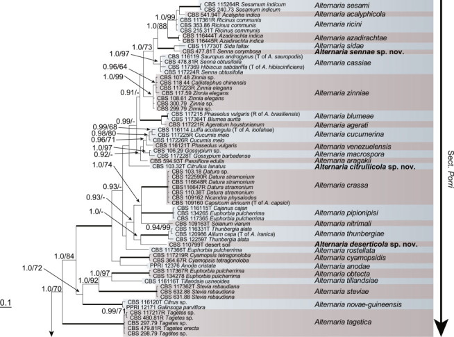 Fig. 1