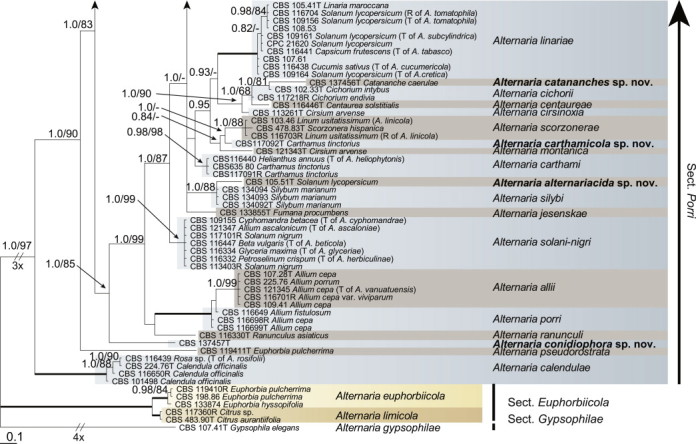 Fig. 1