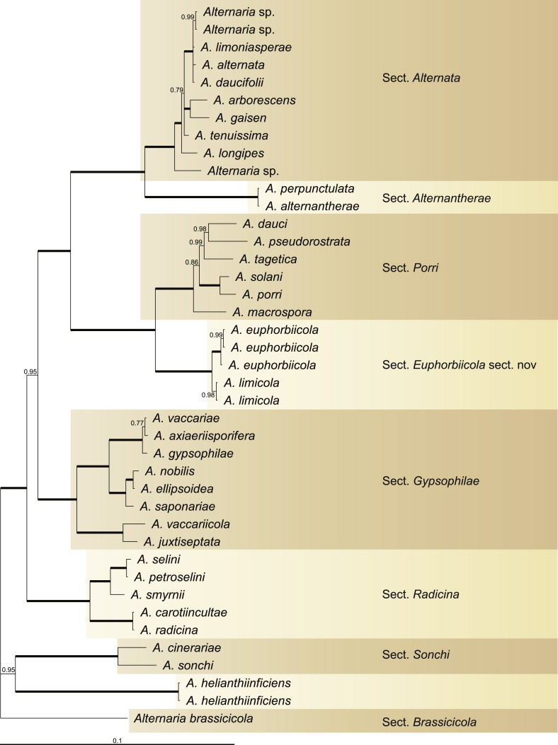 Fig. 2