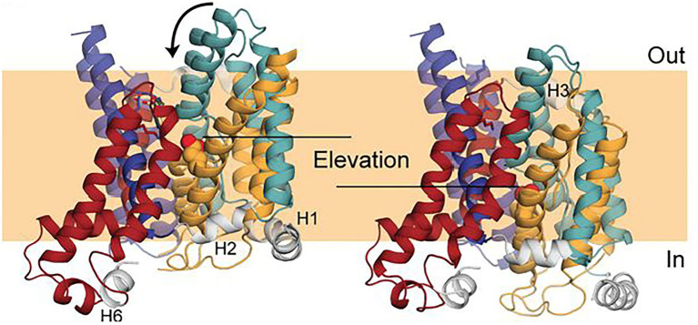 Figure 7