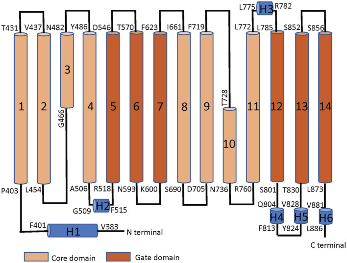 Figure 3