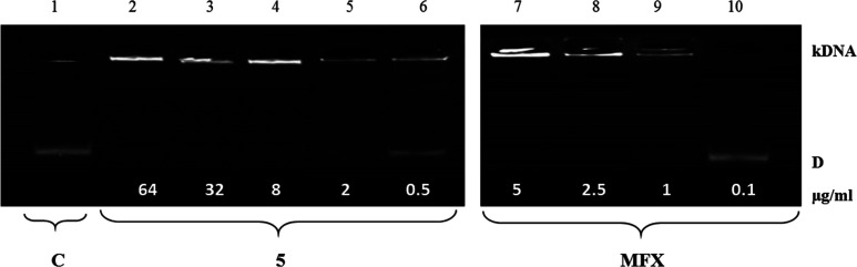 Figure 5