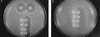 FIG. 4
