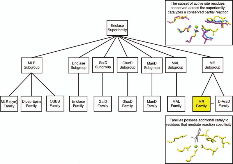 Figure 2.10.1