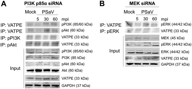 FIG 12